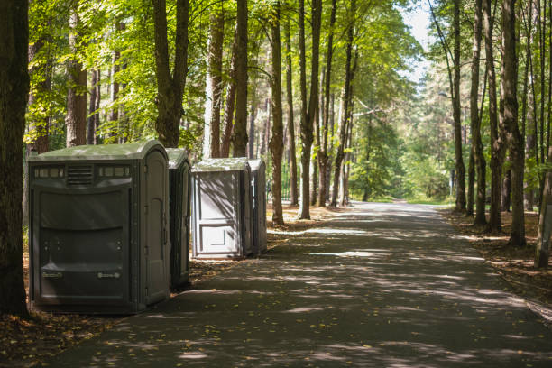 Best Porta potty rental for parties  in Crowley Lake, CA